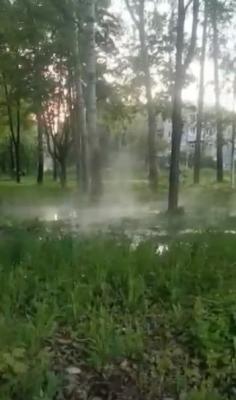 Парк имени Гагарина в Рязани затопило из-за открытия дренажей на Дягилевской ТЭЦ